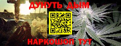 mdpv Рыбинск