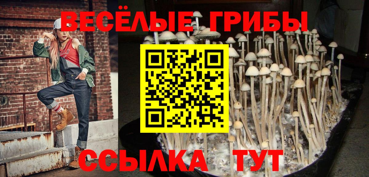 Галлюциногенные грибы Magic Shrooms  как найти   Псилоцибиновые грибы Psilocybine cubensis  Аксай  Вход с VPN 