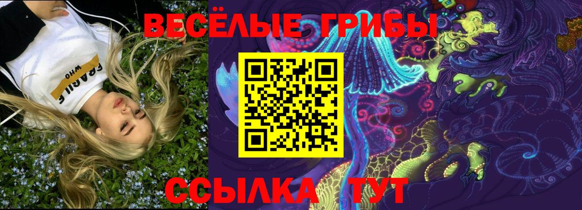 Псилоцибиновые грибы Cubensis Аксай